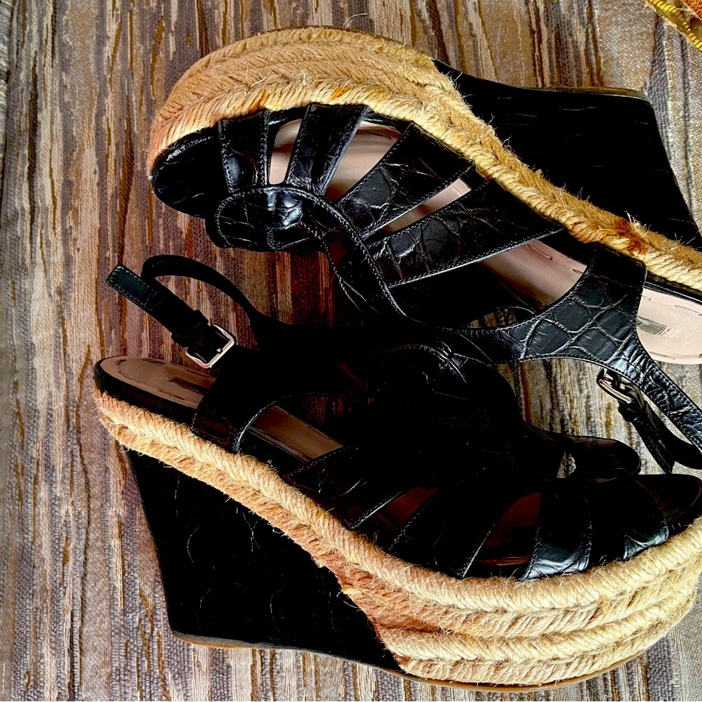 ⭐️ miu miu ⭐️